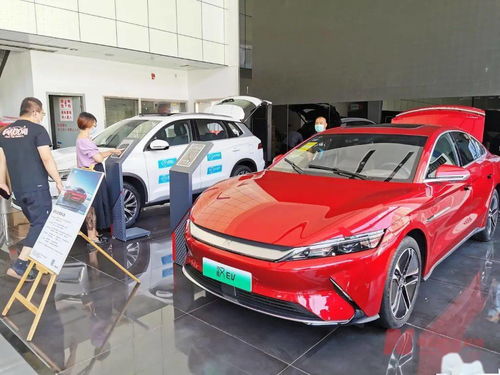 新能源車補(bǔ)貼退坡調(diào)查 市場終端火爆，車企策略分化，今年銷量劍指600萬輛